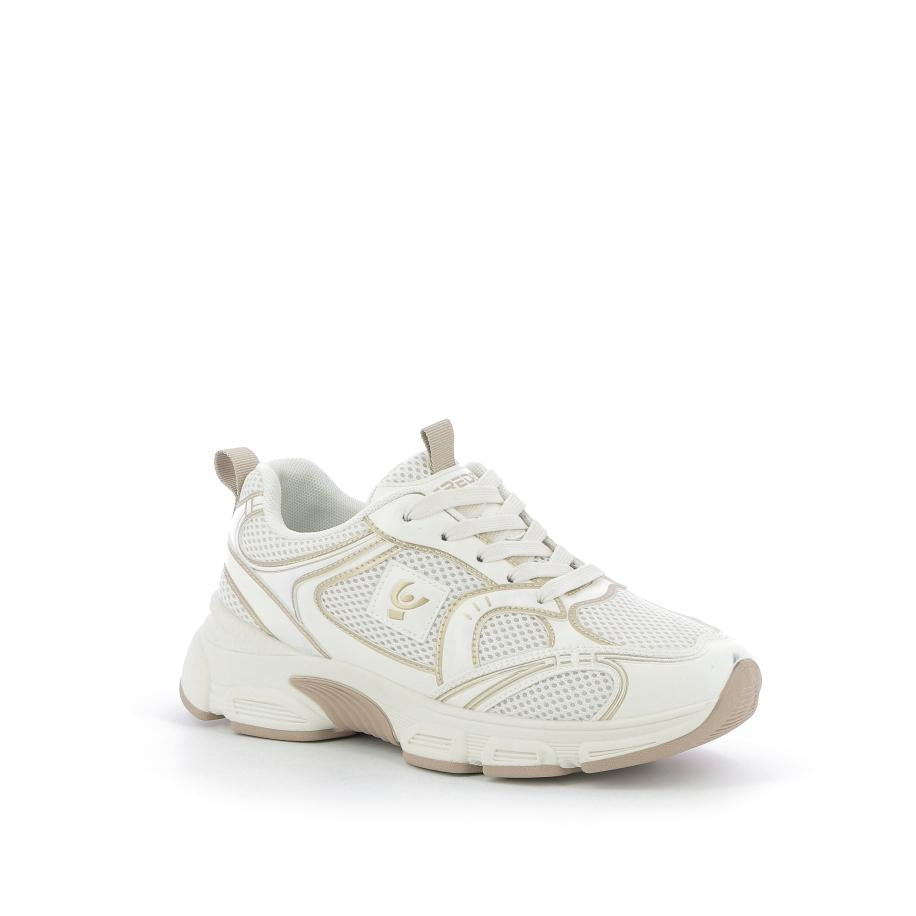  | 252XS558