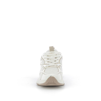  | 252XS558