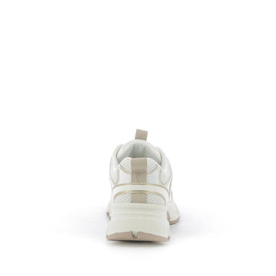  | 252XS558