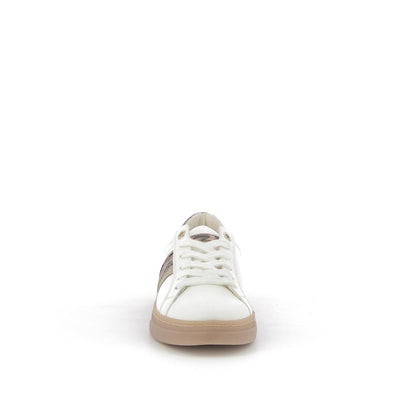  | 252XS569