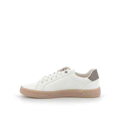  | 252XS569