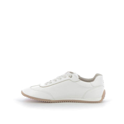  | 252XS581
