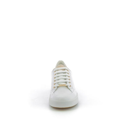  | 252XW6M6