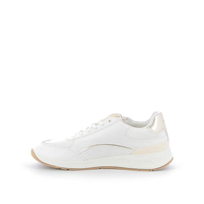  | 252XS736