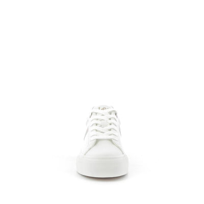  | 252XS748