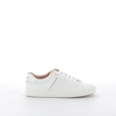  | 252XS764