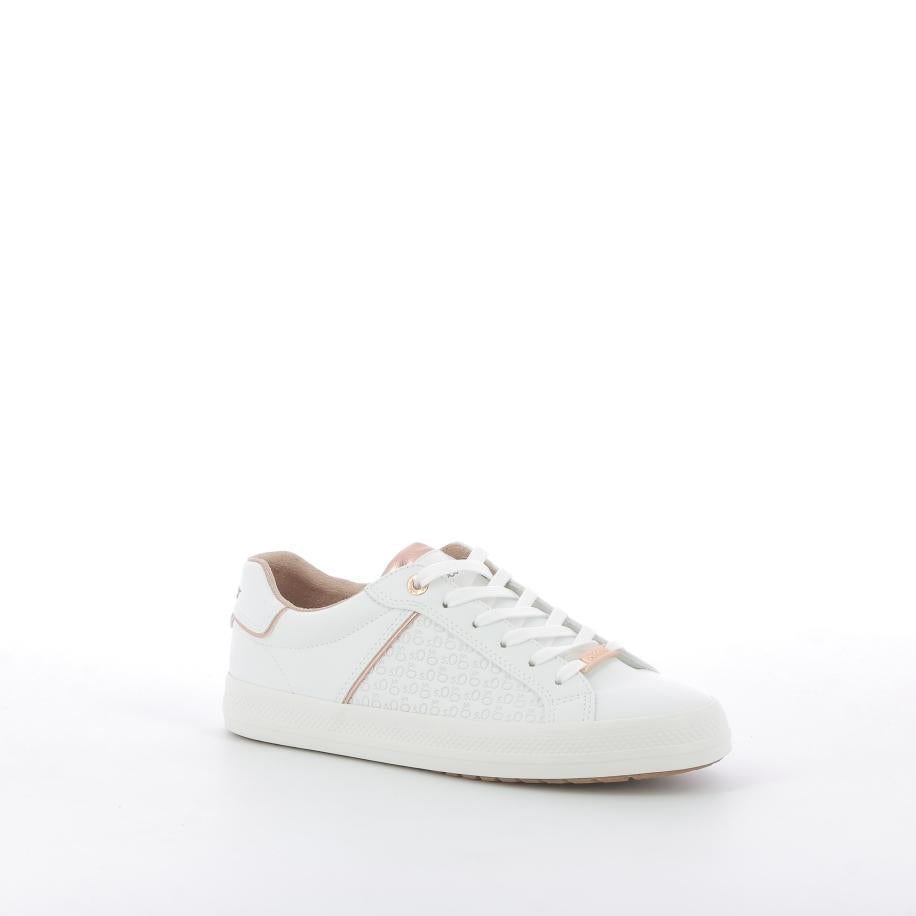  | 252XS764