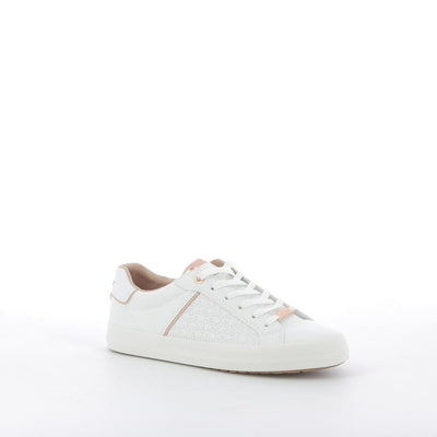  | 252XS764