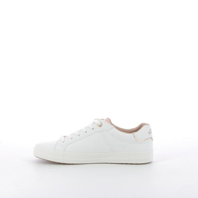  | 252XS764