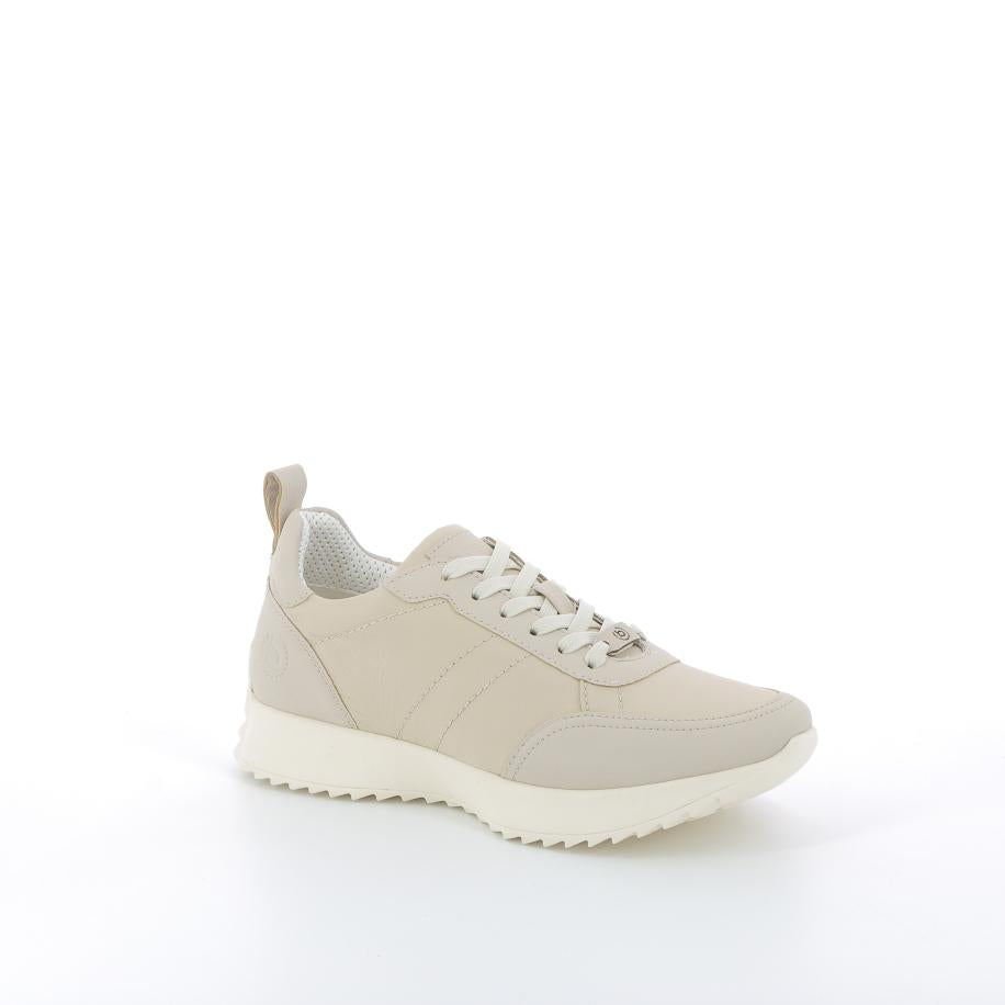  | 253XS0K6