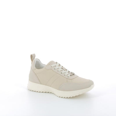  | 253XS0K6