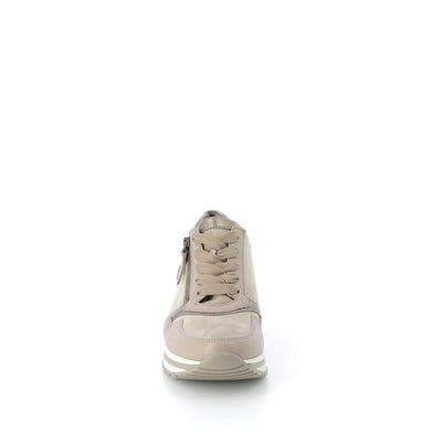  | 253XW0V1