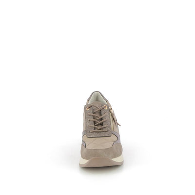  | 253XS0Y8