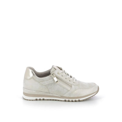  | 253XS121