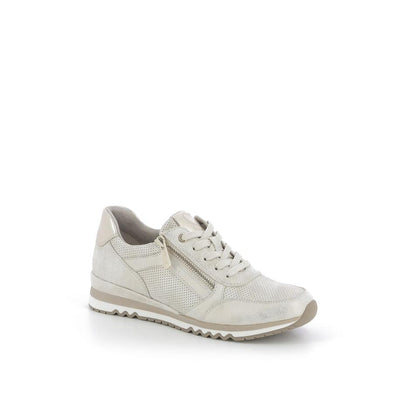  | 253XS121