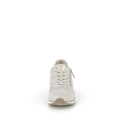  | 253XS121
