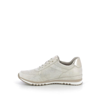  | 253XS121