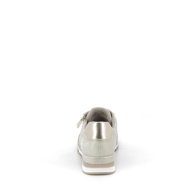  | 253XS121