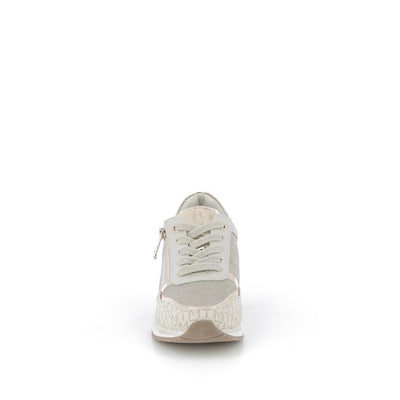  | 253XS123