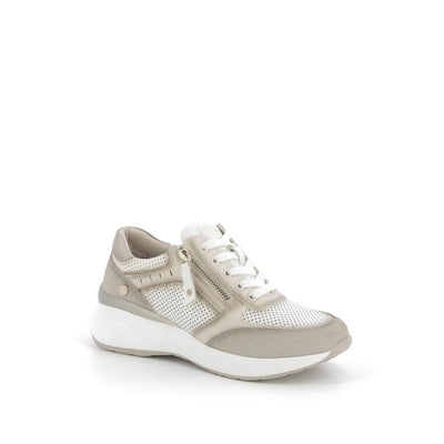  | 253XS141