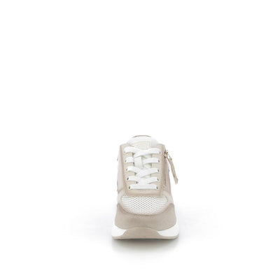  | 253XS141