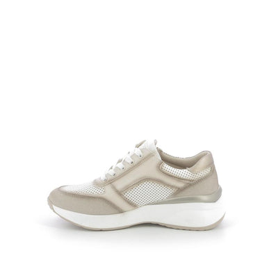  | 253XS141
