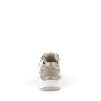  | 253XS141