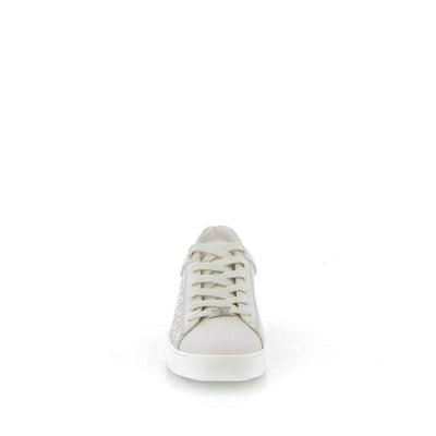  | 253XS183
