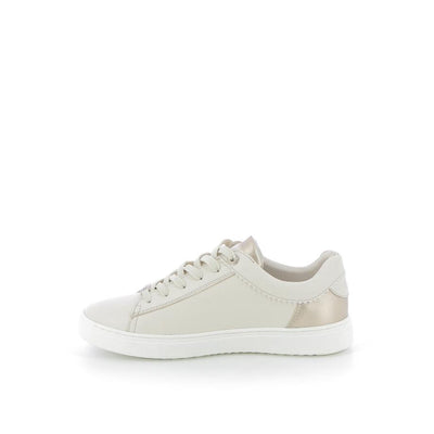  | 253XS183