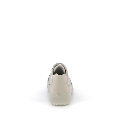  | 253XS193