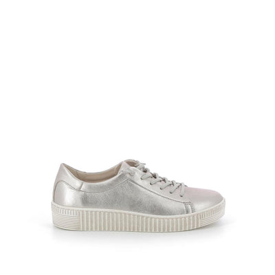  | 253XW1B1