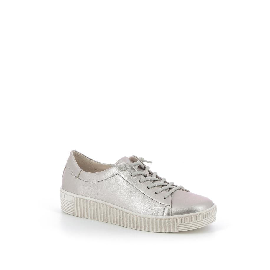  | 253XW1B1