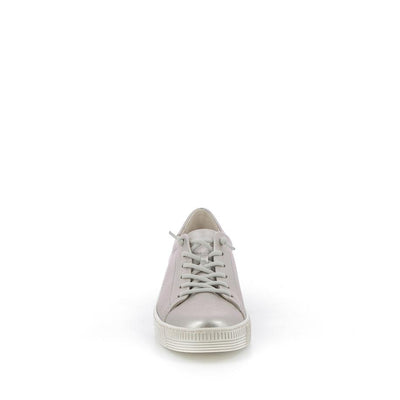  | 253XW1B1