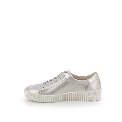  | 253XW1B1