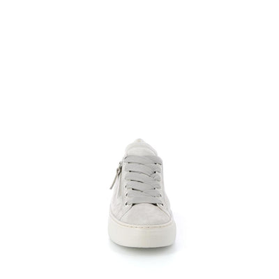  | 253XW1B8