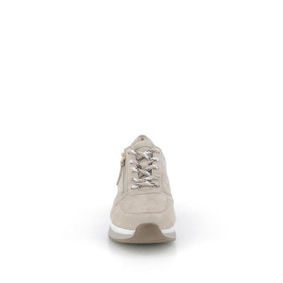  | 253XW1B9