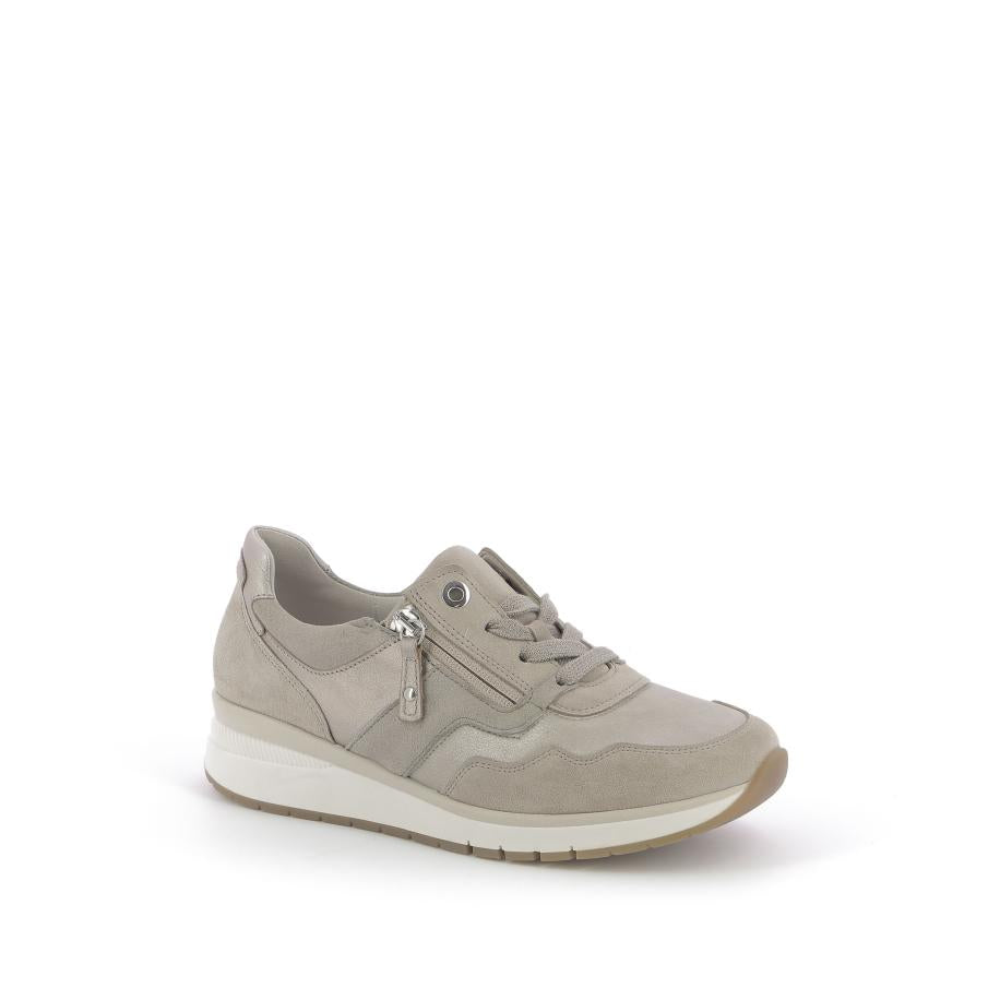  | 253XW264