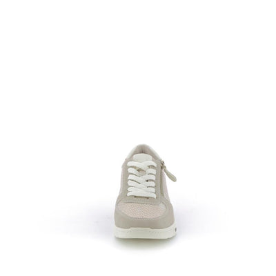  | 253XS2D9