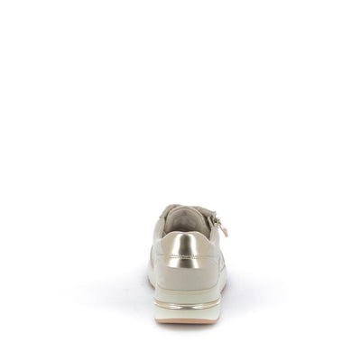  | 253XS2E5