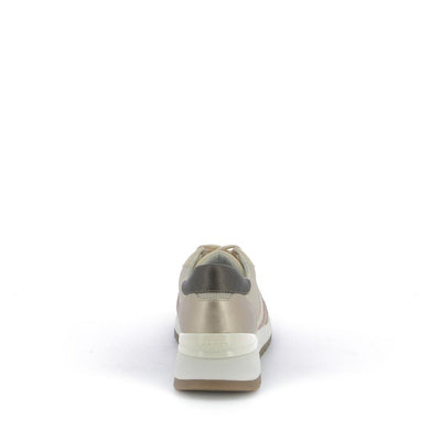  | 253XW2W9