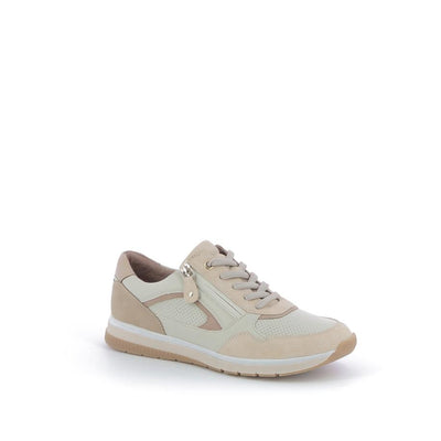  | 253XS333
