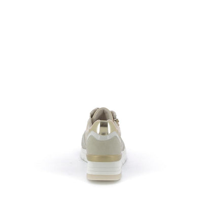  | 253XS338
