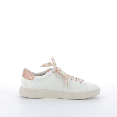  | 253XM374