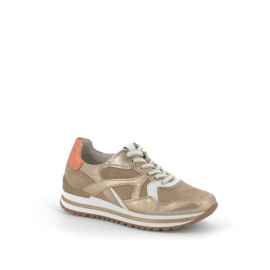  | 253XW390