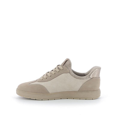  | 253XS436