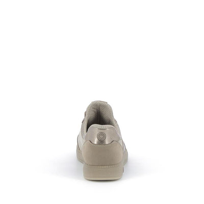  | 253XS436