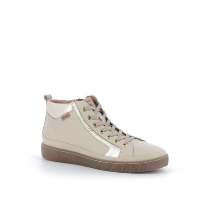  | 253XW443