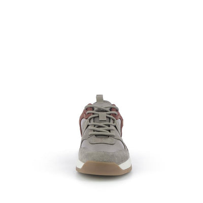  | 253XW454