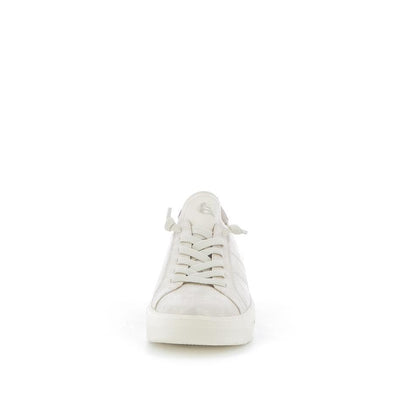  | 253XS511