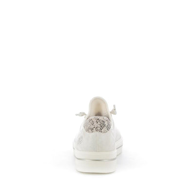  | 253XW511
